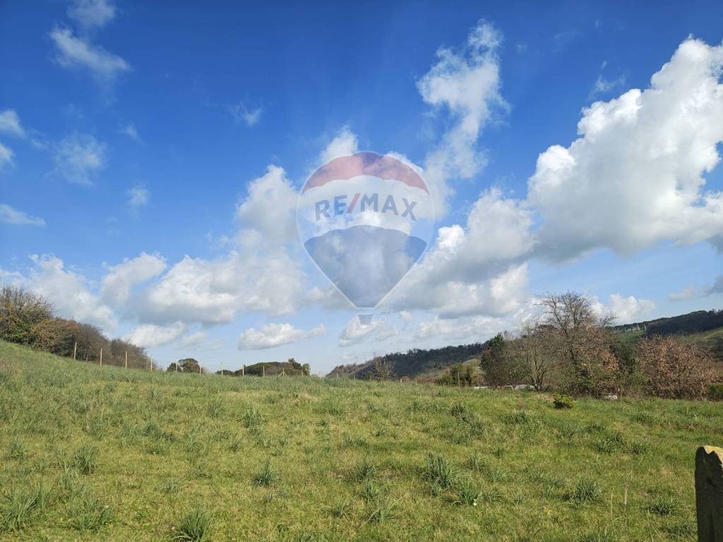 terreno agricolo in vendita a Fiumicino in zona Torrimpietra