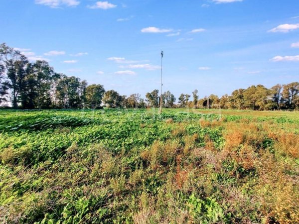 terreno agricolo in vendita a Fiumicino in zona Palidoro