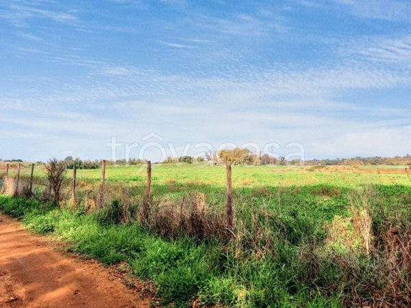terreno agricolo in vendita a Fiumicino in zona Palidoro
