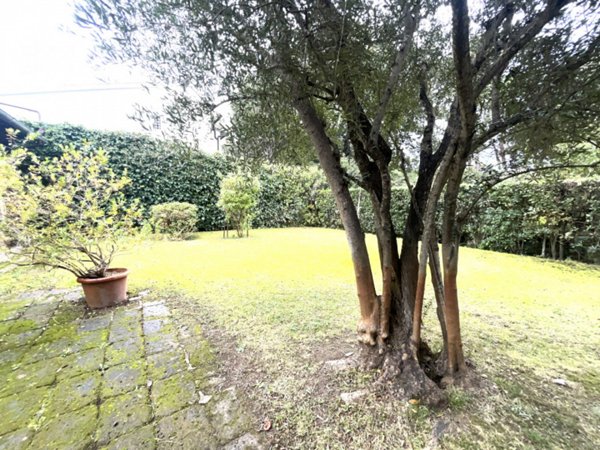 casa indipendente in vendita a Fiumicino in zona Fregene