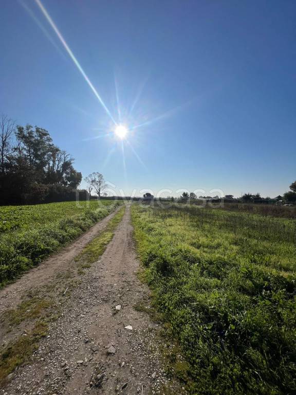 negozio in vendita a Fiumicino in zona Maccarese