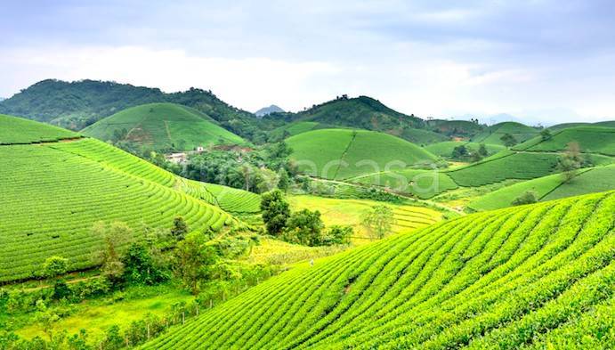 terreno agricolo in vendita a Fiumicino in zona Aranova