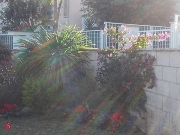 appartamento in vendita a Fiumicino in zona Fregene