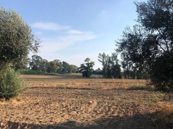 terreno agricolo in vendita a Fiumicino in zona Fregene
