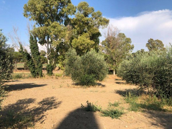 terreno agricolo in vendita a Fiumicino in zona Fregene