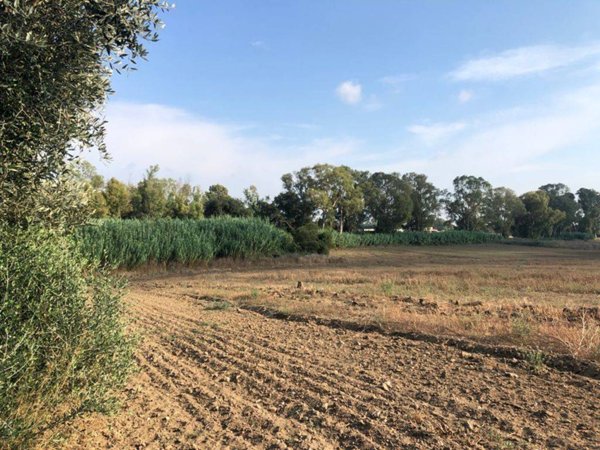 terreno agricolo in vendita a Fiumicino in zona Fregene