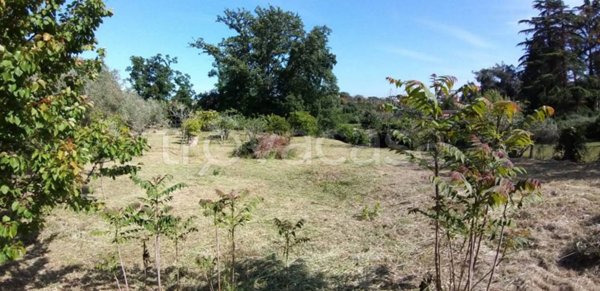 terreno agricolo in vendita a Fiumicino in zona Aranova