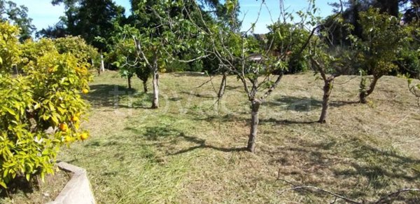 terreno agricolo in vendita a Fiumicino in zona Aranova