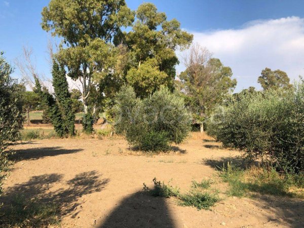terreno agricolo in vendita a Fiumicino in zona Maccarese