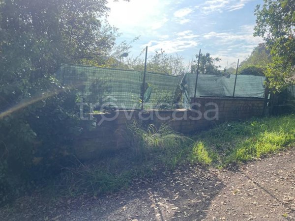terreno agricolo in vendita a Fiumicino in zona Aranova
