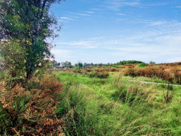 terreno edificabile in vendita a Fiumicino