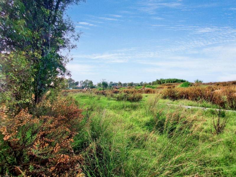 terreno edificabile in vendita a Fiumicino