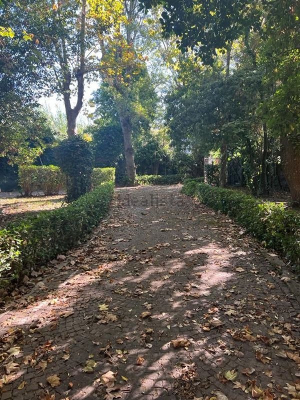 casa indipendente in vendita a Fiumicino in zona Fregene