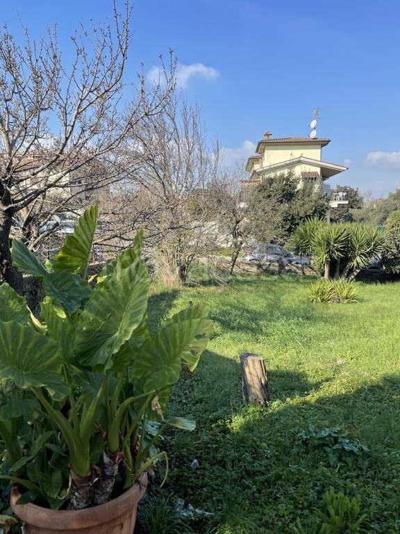 terreno agricolo in vendita a Fiumicino in zona Aranova