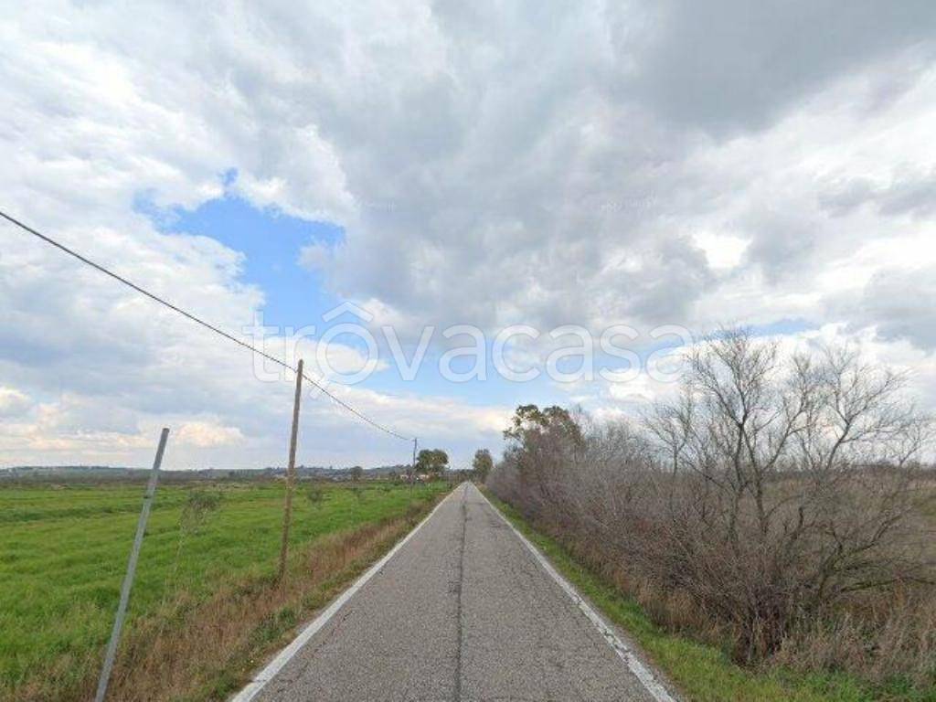 terreno agricolo in vendita a Fiumicino