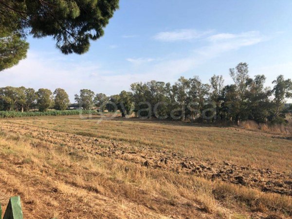 terreno agricolo in vendita a Fiumicino in zona Maccarese