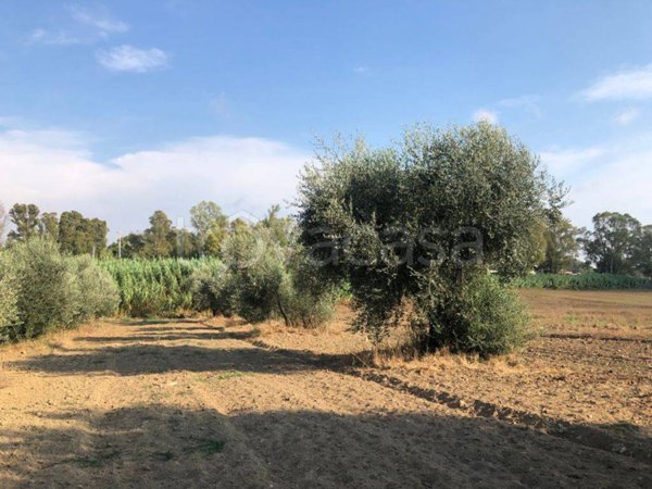 terreno agricolo in vendita a Fiumicino in zona Maccarese