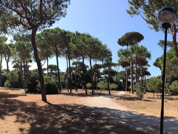 casa indipendente in vendita a Fiumicino in zona Fregene