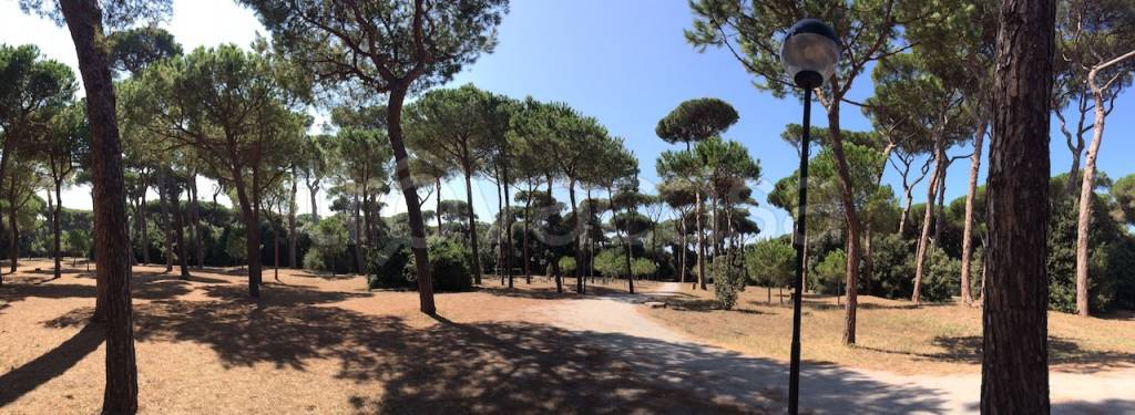 casa indipendente in vendita a Fiumicino in zona Fregene