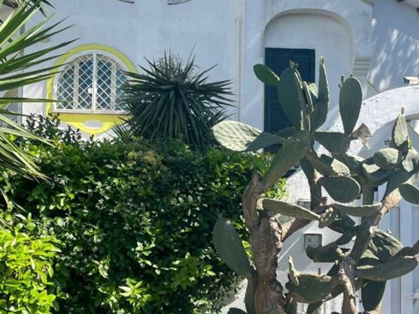 casa indipendente in vendita a Fiumicino in zona Fregene