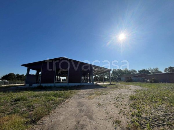 locale commerciale in vendita a Fiumicino in zona Maccarese