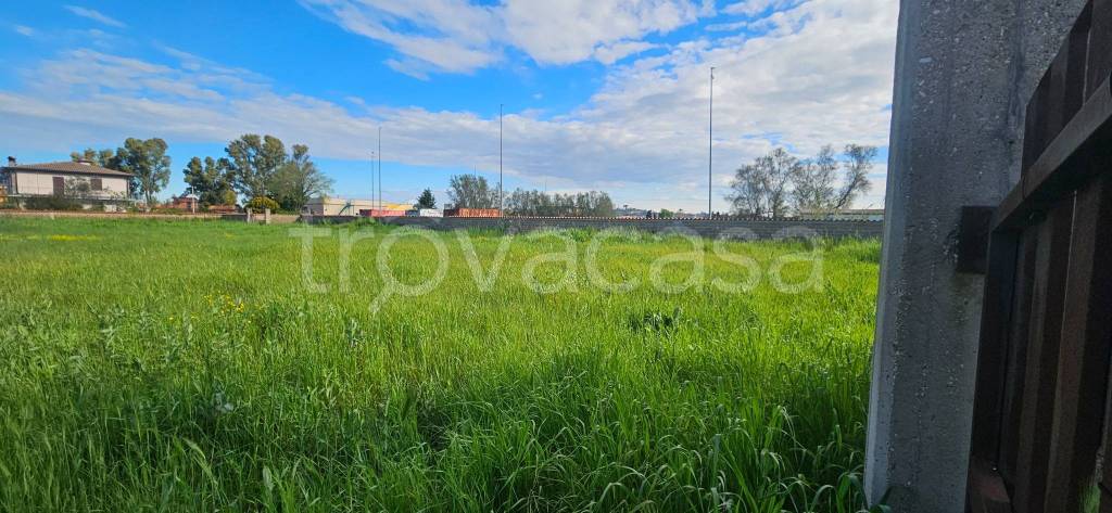terreno agricolo in vendita a Fiumicino in zona Aeroporto 