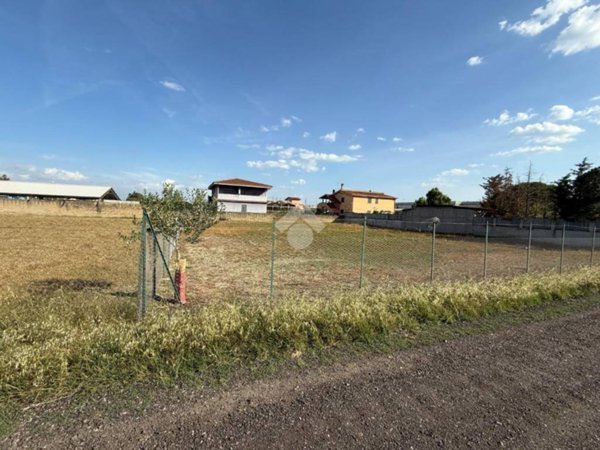 terreno agricolo in vendita a Fiumicino in zona Maccarese