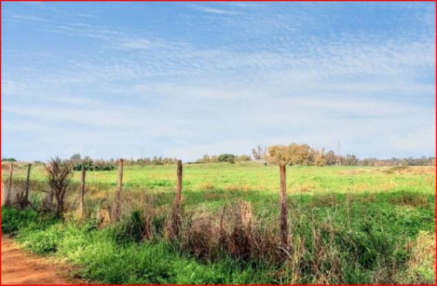 terreno agricolo in vendita a Fiumicino