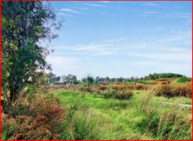 terreno agricolo in vendita a Fiumicino in zona Palidoro