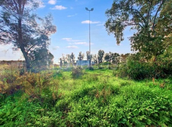 terreno agricolo in vendita a Fiumicino in zona Palidoro