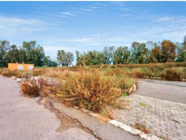 terreno agricolo in vendita a Fiumicino