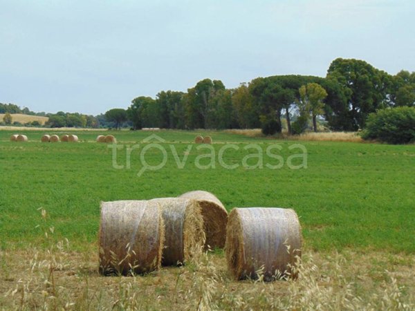 appartamento in vendita a Fiumicino in zona Maccarese