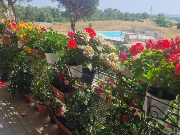 appartamento in vendita a Fiumicino in zona Aranova