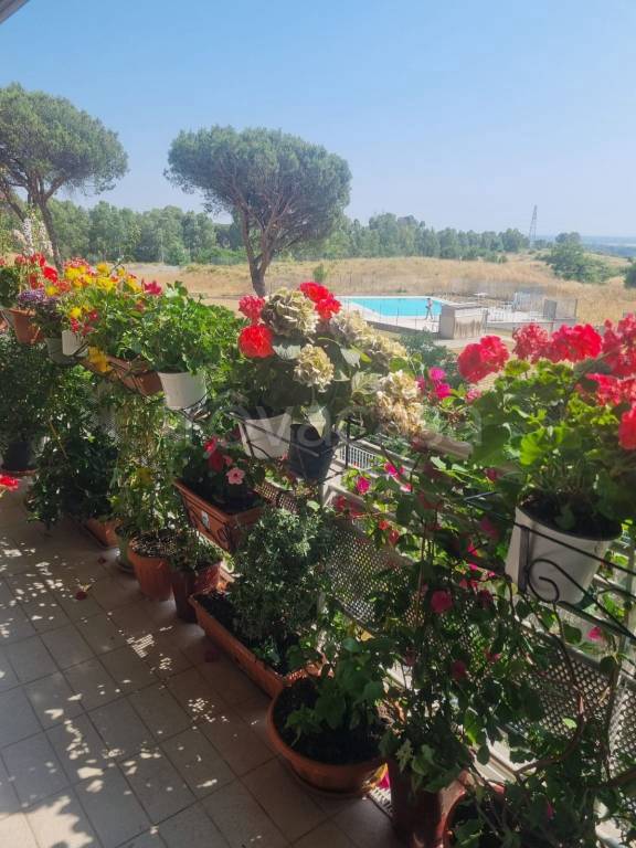 appartamento in vendita a Fiumicino in zona Aranova