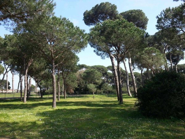 casa indipendente in vendita a Fiumicino in zona Fregene