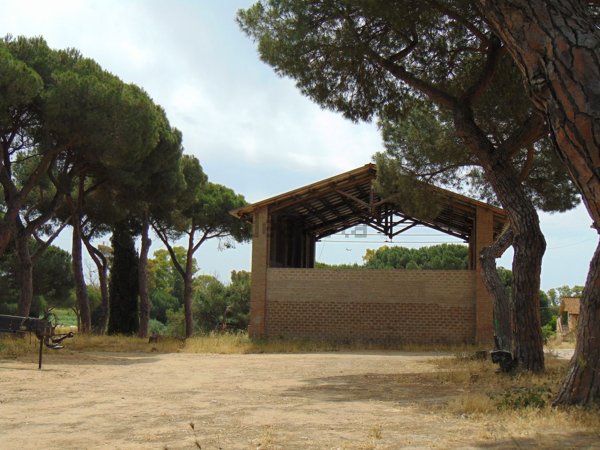 appartamento in vendita a Fiumicino in zona Torrimpietra
