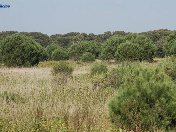 casa indipendente in vendita a Fiumicino in zona Maccarese