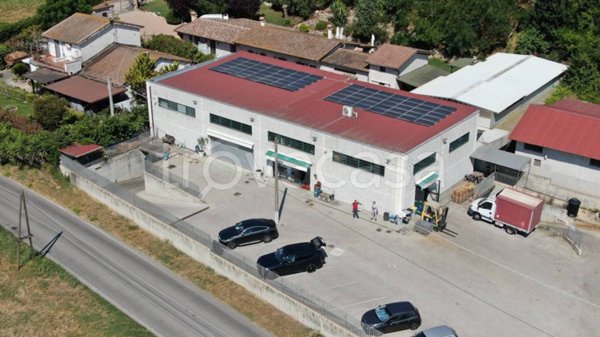 appartamento in vendita a Fiumicino in zona Testa di Lepre