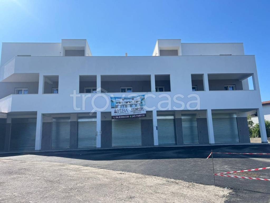 appartamento in vendita a Fiumicino in zona Aranova