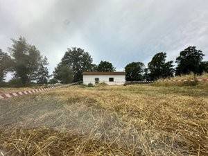 casa indipendente in vendita a Fiumicino in zona Torrimpietra