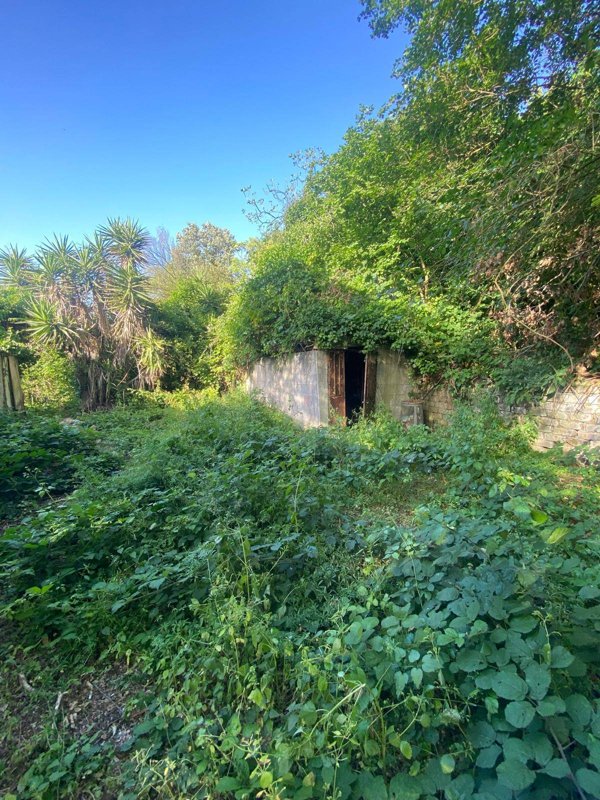 casa indipendente in vendita a Fiumicino in zona Aranova
