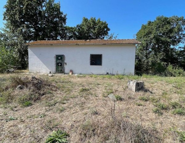 casa indipendente in vendita a Fiumicino in zona Aranova