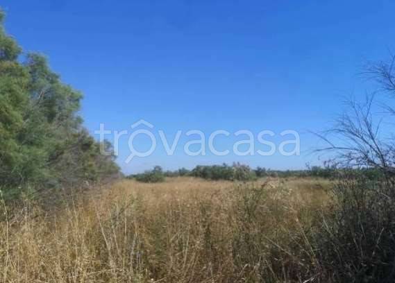appartamento in vendita a Fiumicino