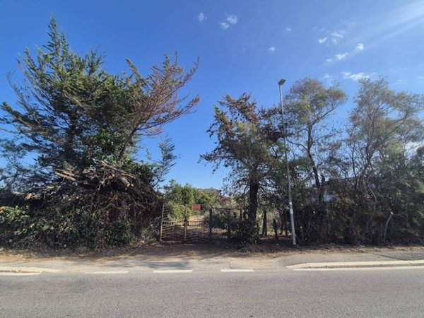 terreno agricolo in vendita a Fiumicino in zona Maccarese