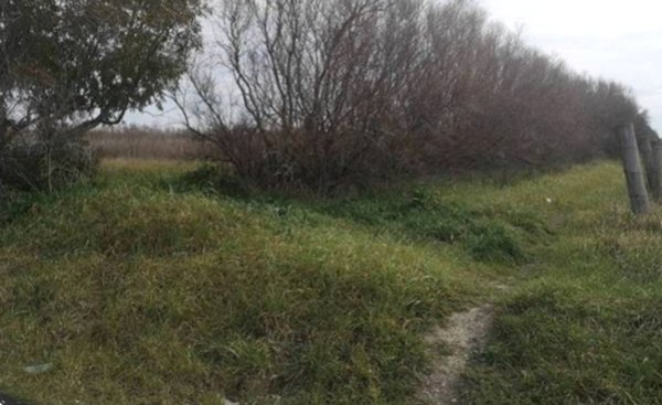 terreno agricolo in vendita a Fiumicino