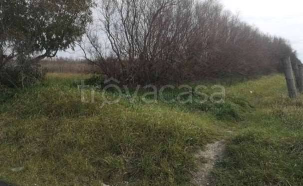 appartamento in vendita a Fiumicino