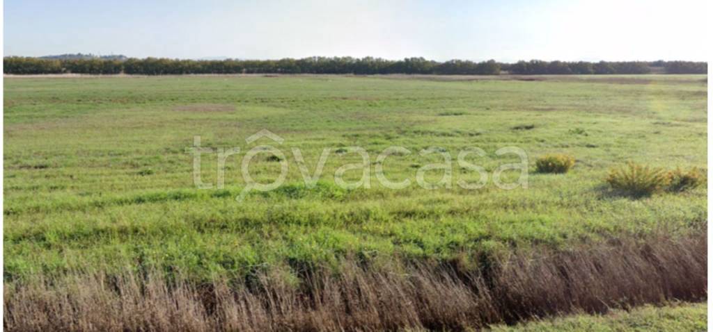 terreno agricolo in vendita a Fiumicino