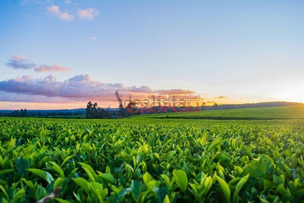 appartamento in vendita a Fiumicino