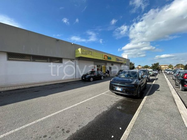 terreno agricolo in vendita a Fiumicino in zona Isola Sacra