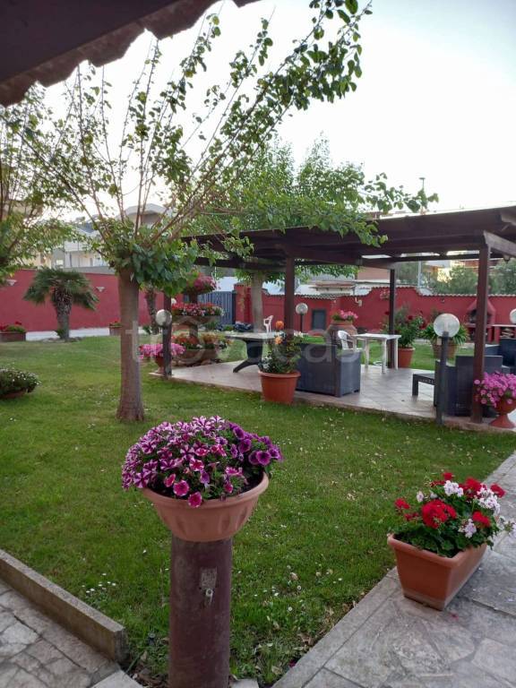 appartamento in vendita a Fiumicino in zona Focene